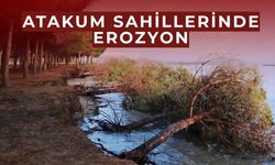 Atakum sahillerindeki erozyon meclis gündemine taşındı