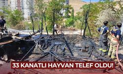 Yangında 33 kanatlı hayvan telef oldu