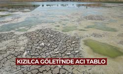 Kızılca Göleti'nde 2'nci yılın acı tablosu