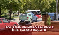 Polis ekipleri kedi ölümleriyle ilgili çalışma başlattı