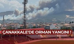 Çanakkale'de orman yangınına müdahale ediliyor