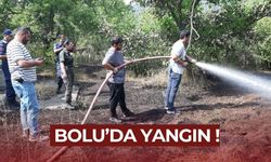 Bolu'da facianın eşiğinden dönüldü