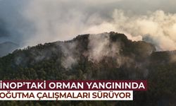 Sinop'taki orman yangınında soğutma çalışmaları sürüyor