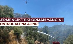 Germencik'teki orman yangını kontrol altına alındı