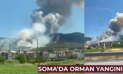 Soma'da orman yangını: havadan ve karadan müdahale ediliyor