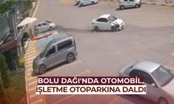 Otomobil, işletme otoparkına daldı