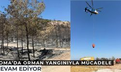Orman yangınıyla mücadele devam ediyor