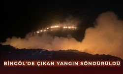 Çöplük alanda çıkan yangın söndürüldü