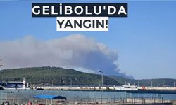 Gelibolu'da Yangın!
