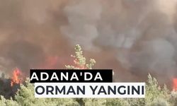 Adana'da orman yangını