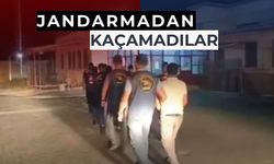Sahte ilanlar ile 100'den fazla mağduru 10 milyon TL dolandırdılar