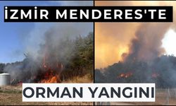 İzmir Menderes'te orman yangını