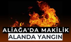 Aliağa'da makilik alanda yangın