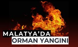 Malatya'da orman yangını
