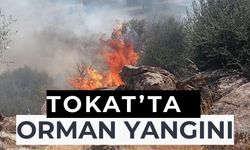 Tokat'ta ormanlık alanda çıkan yangına müdahale ediliyor