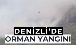 Pamukkale ilçesinde orman yangını çıktı