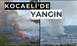 Kocaeli'de ağaçlık alanda yangın çıktı