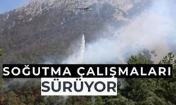 Denizli'deki orman yangınında soğutma çalışmaları devam ediyor