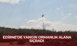 Edirne'deki yangın ormana sıçradı: Müdahale sürüyor