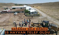 Sel besi çiftliğini vurdu: 25 küçükbaş hayvan telef oldu