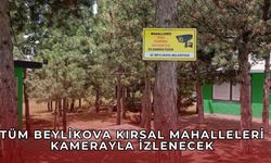 Beylikova kırsal mahallelerine güvenlik kamerası takıldı