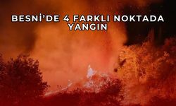 Adıyaman Besni’de 4 farklı noktada yangın