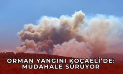 Kocaeli’ndeki orman yangınına havadan ve karadan müdahale
