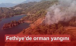 Fethiye’de orman yangınına havadan ve karadan müdahale