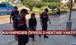 Kayınpeder öfkesi 3 hektarı küle çevirdi