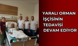 Yangında yaralanan orman işçisinin tedavisi devam ediyor