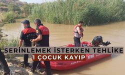 Akıntıya kapılan 3 çocuktan 2'si kurtarıldı