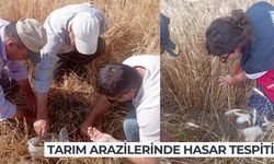 Dolu ve sel afeti sonrası tarım arazilerinde hasar tespiti