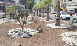 Susuzluğa Karşı Estetik Çözüm