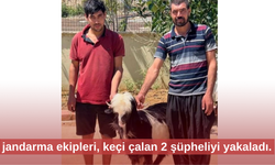 Adana'da keçi çalan 2 şüpheli yakalandı