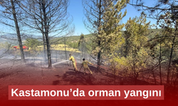 Orman yangınında samanlık ve kümes kullanılamaz hale geldi