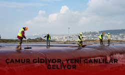 Körfez Yeniden Doğuyor