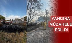 Anız yangını korkuttu