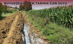 Binlerce Hektar Toprak Suya Kavuşuyor