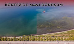 İzmit Körfezi Maviye Dönüyor