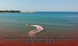 183 Can, Tek Bir Amaç
