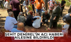 Şehit orman personeli Demirel'in acı haberi ailesine verildi