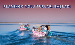 Gediz Deltası’nda Flamingo Yolculuğu