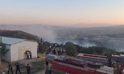 Manisa'da orman yangını