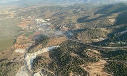 Milas’taki yangın kontrol altına alındı