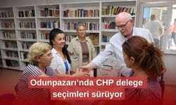 Odunpazarı’nda CHP delege seçimleri sürüyor