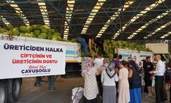 Alın teri ziyan olmadı, sofralara ulaştı