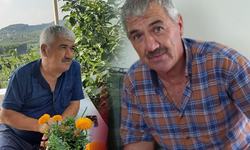 Çıktığı erik ağacı talihsiz adamın sonu oldu