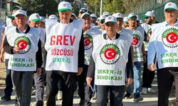Şeker Fabrikası’nda işçiler greve başladı