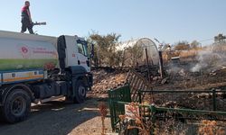 Tarladaki yangın  seraya sıçradı