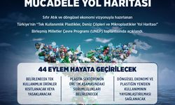 Tek kullanımlık plastikler ve deniz çöpleriyle mücadelede yol haritası hazır